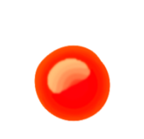 Икра форели